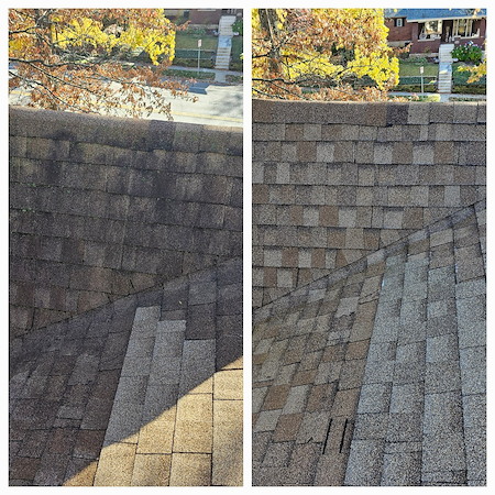 How st louis humidity and tree canopy accelerate roof shingle rot