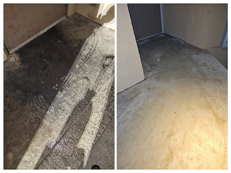 St louis dumpster pad cleaning why power washing is your best pest defense
