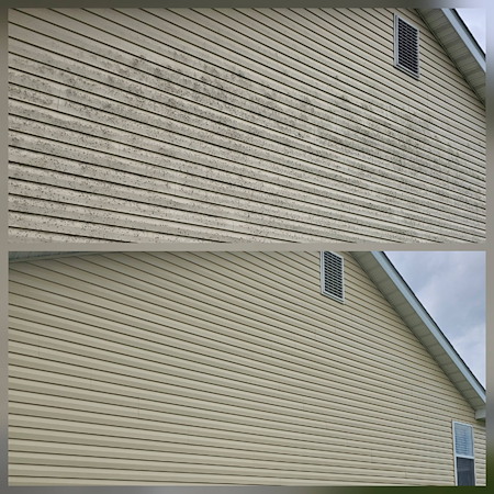 St louis humidity and algae why your north facing surfaces stay green and how to fix it